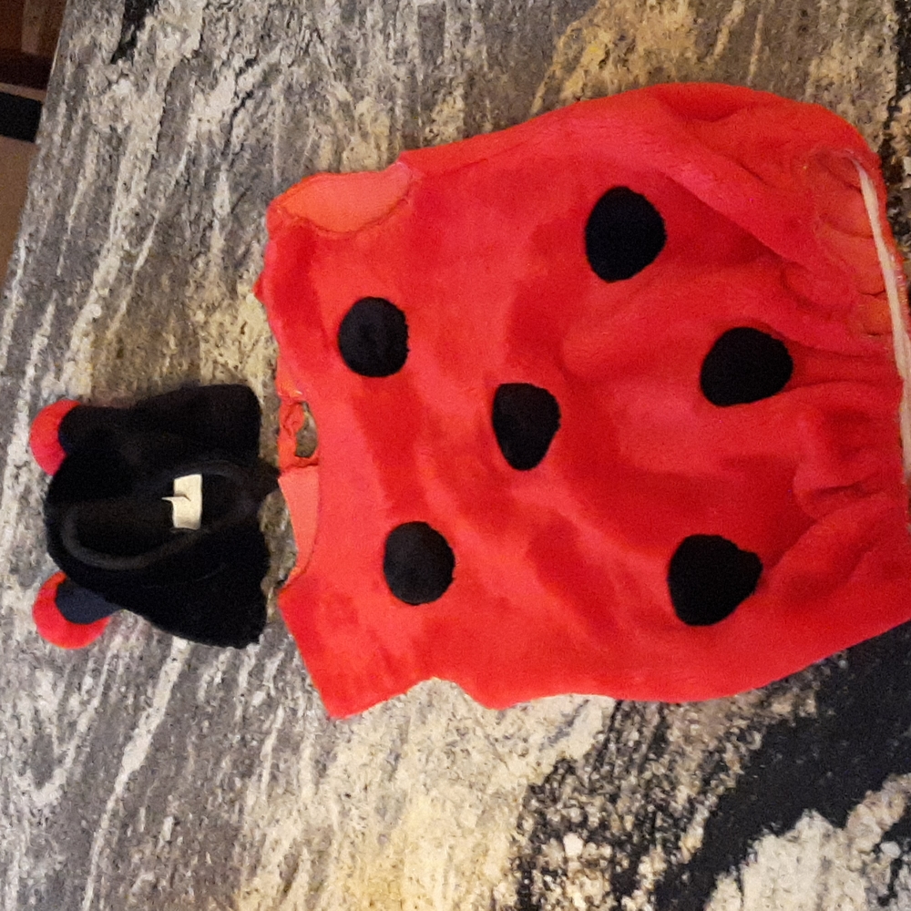Ladybug  costume